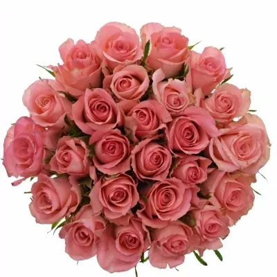 Kytice 25 růžových růží DEKORA 50cm