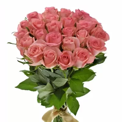 Kytice 25 růžových růží DEKORA 50cm
