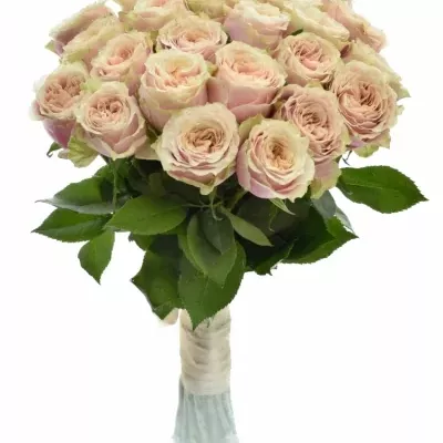 Kytice 25 růžových růží HELEN OF TROY 90cm