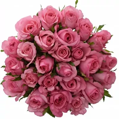 Kytice 25 růžových růží LOVELY JUBILEE 80cm