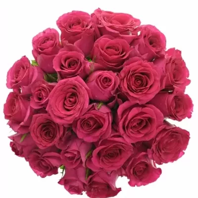 Kytice 25 růžových růží MEMORY