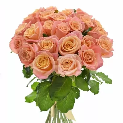 Kytice 25 růžových růží MISS PIGGY