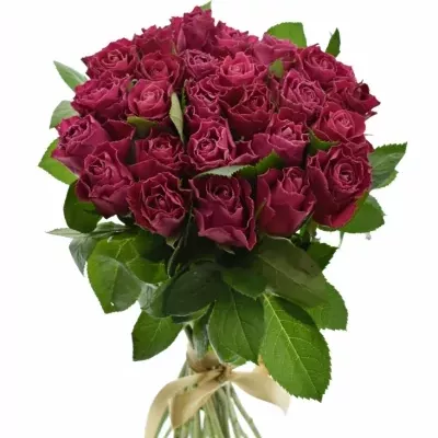 Kytice 25 růžových růží MOVIE STAR 40cm