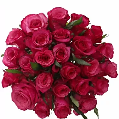 Kytice 25 růžových růží NATURES WILD 55cm