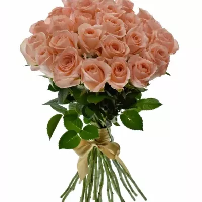Kytice 25 růžových růží PINK PANASH 50cm