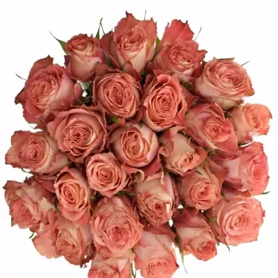 Kytice 25 růžových růží PINK SILK 40cm