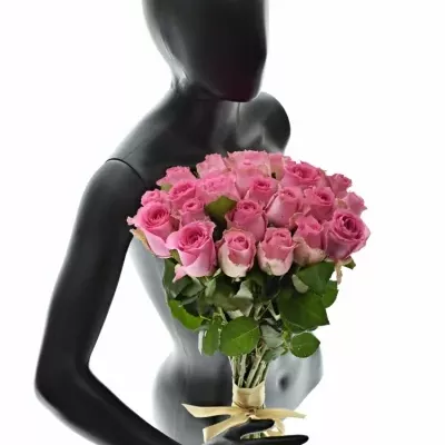 Kytice 25 růžových růží SHANGHAI LADY 40cm 