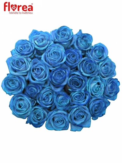 Kytice 25 světle modrých růží LIGHT BLUE VENDELA 70cm
