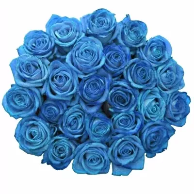 Jednodruhová kytice 25 modrých růží LIGHT BLUE VENDELA 70 cm