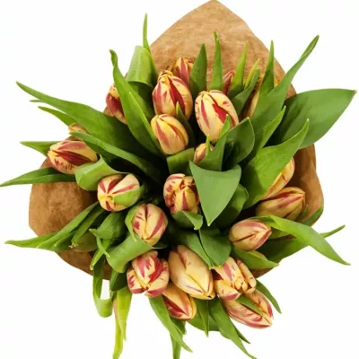 Kytice 25 tulipánů GRAND PERFECTION-papír