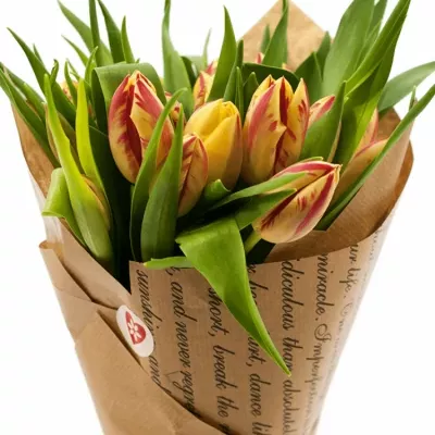 Kytice 25 tulipánů GRAND PERFECTION-papír