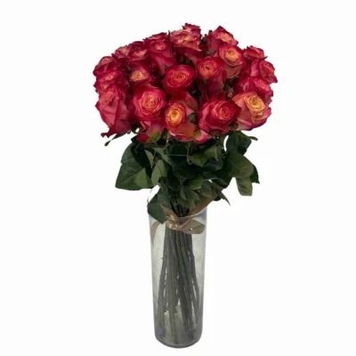 Kytice 25 vícebarevných růží MAI TAI