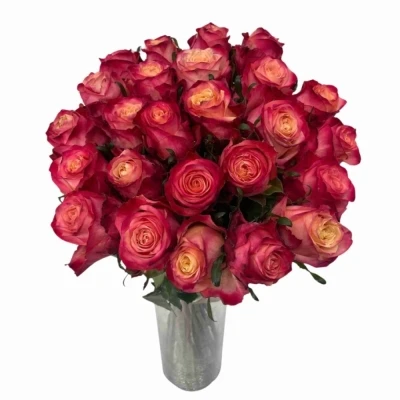 Kytice 25 vícebarevných růží MAI TAI