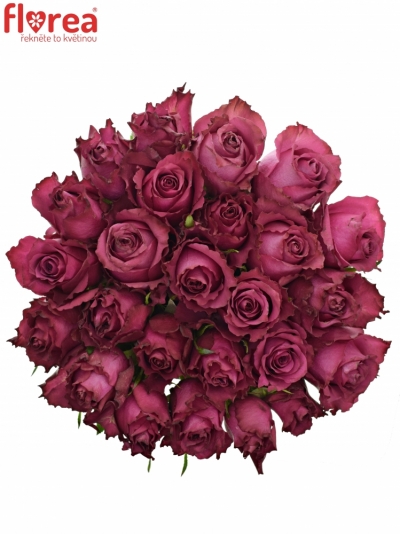 Kytice 25 vínových růží BLUEBERRY 40cm