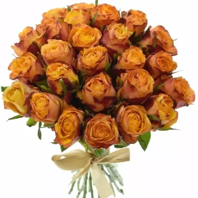 Kytice 25 žíhaných růží GRANADA 40cm