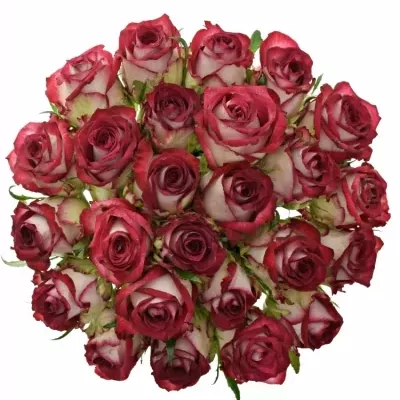 Kytice 25 žíhaných růží PARADISO 40cm
