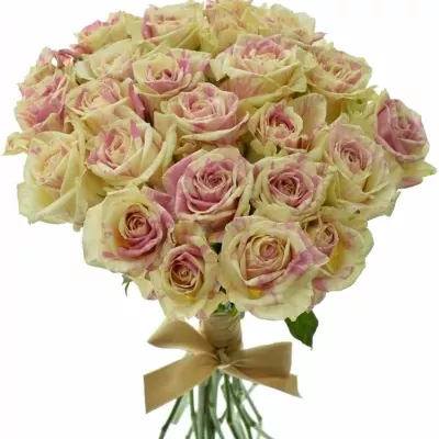 Kytice 25 žíhaných růží SWEET HARLEQUIN 40cm