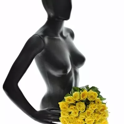 Kytice 25 žlutých růží LIMELIGHT