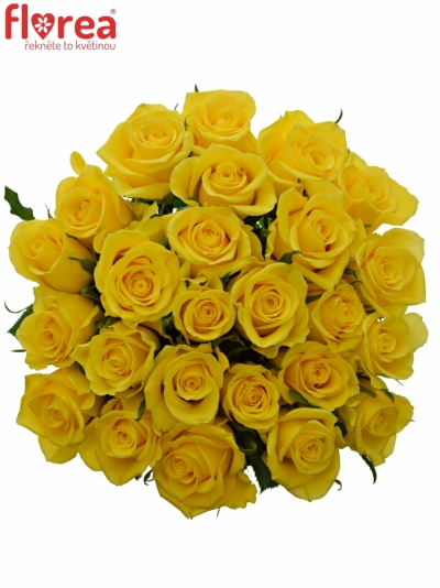 Kytice 25 žlutých růží GOOD TIMES 50cm