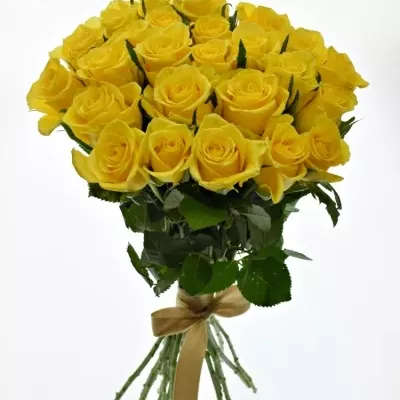 Kytice 25 žlutých růží MOONWALK 50 cm