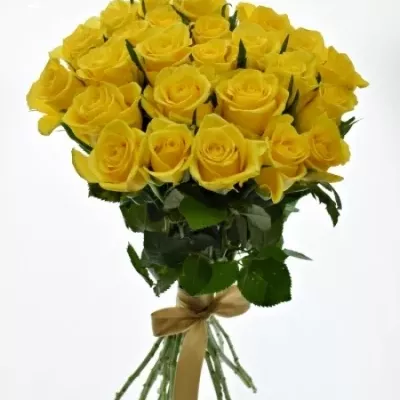 Kytice 25 žlutých růží YELLOWEEN