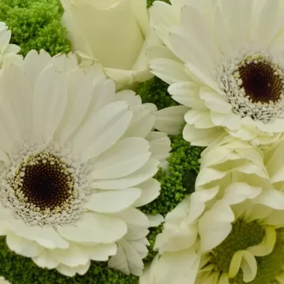 Kytice 26 míchaná ASYA