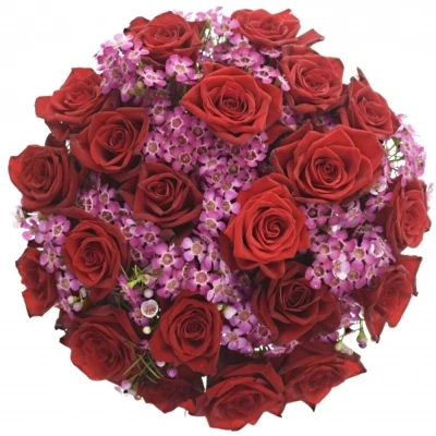 Kytice 31 míchaná CAILEY