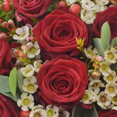 Kytice 31 míchaná SUZANNE