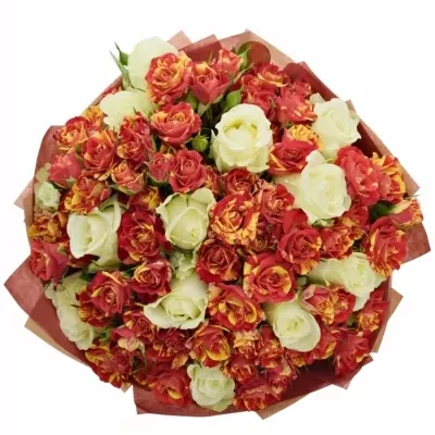 Kytice 32 míchaných růží PEGAFLASH 40cm