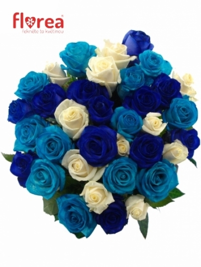 Kytice 35 modrých růží ACANTHA 50cm