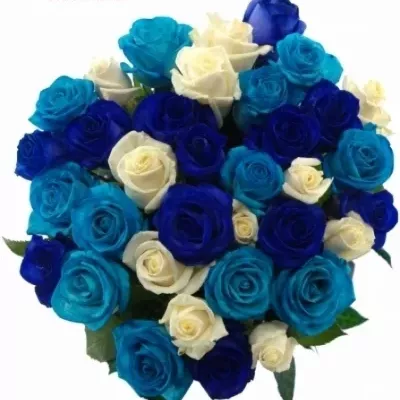 Kytice 35 modrých růží ACANTHA 60cm