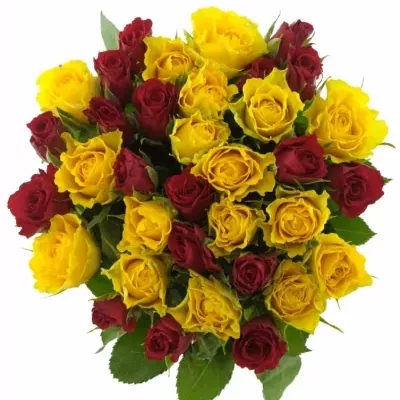 Kytice 35 míchaných růží ANATOLA 60cm