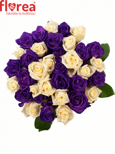 Kytice 35 barvených růží AUGUSTINA 50cm