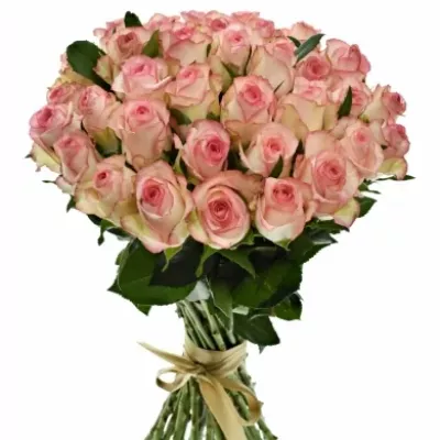 Kytice 35 bílorůžových růží JUMILIA 50cm