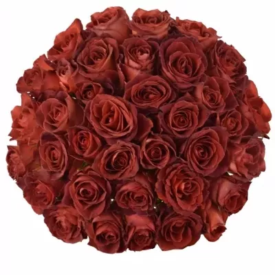Kytice 35 červenohnědých růží CAFE DEL MAR 45cm