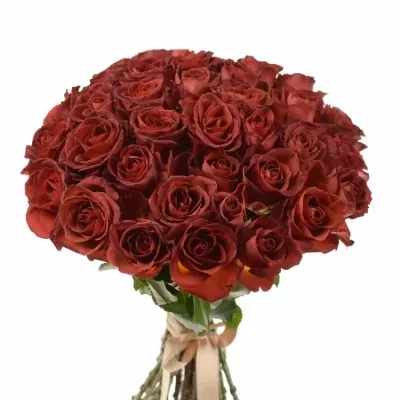 Kytice 35 červenohnědých růží CAFE DEL MAR