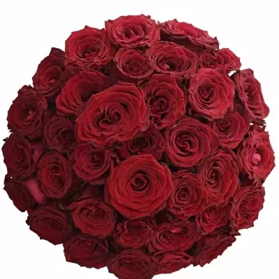 Kytice 35 červených růží ABBA 40cm