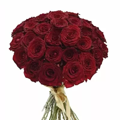 Kytice 35 červených růží ABBA