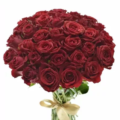 Kytice 35 červených růží FURIOSA 40cm