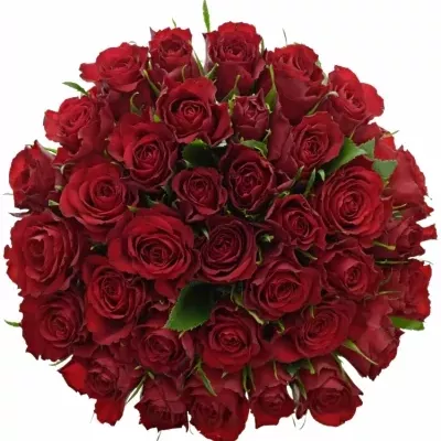 Kytice 35 červených růží MANDY 50cm