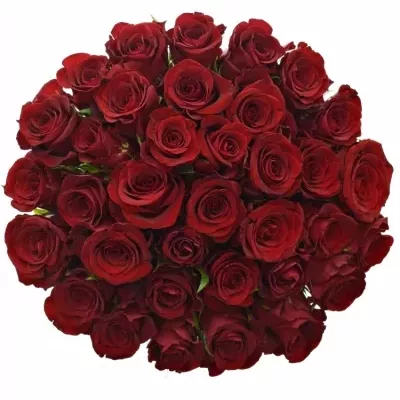 Kytice 35 červených růží MILLION REASONS