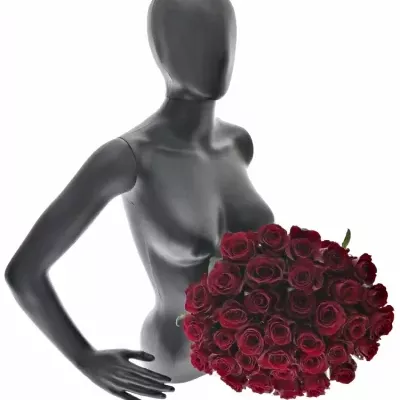 Kytice 35 červených růží NAZCA 50cm