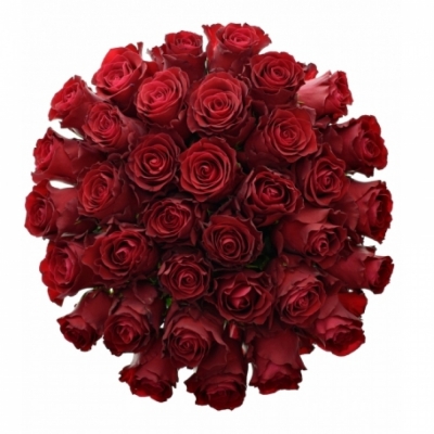Kytice 35 červených růží RED BENTLEY 90 cm