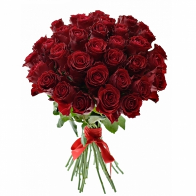 Kytice 35 červených růží RED BENTLEY