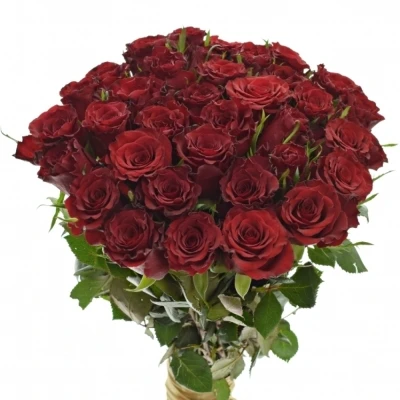 Kytice 35 červených růží RED MOUNTAIN