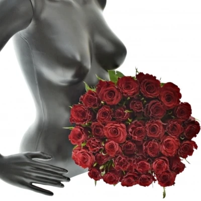 Kytice 35 červených růží RED MOUNTAIN