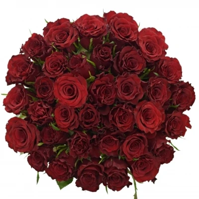 Kytice 35 červených růží RED MOUNTAIN