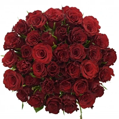 Kytice 35 červených růží RED MOUNTAIN