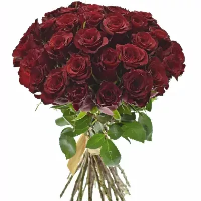 Kytice 35 červených růží RED PARIS 50cm