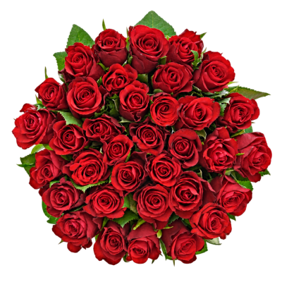 Kytice 35 červených růží SIMPLY RED